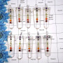 Crystal - A - MTS997 - 10 Pcs Lots White Metal-Non Silver Natural Crystal Quartz Gemstone Metaphysical Pendants