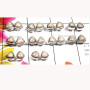 10 Pcs. Fossil Coral E - SVP995-Sterling Silver Precious Gemstone Stud Earring