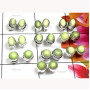 10 Pcs. Lemon Prace F - SVP995-Sterling Silver Precious Gemstone Stud Earring
