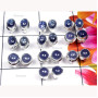 10 Pcs. Tanzanite O - SVP995-Sterling Silver Precious Gemstone Stud Earring