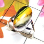 Eclipse E - ELD995-Beautiful Eclipse gems silver Ring