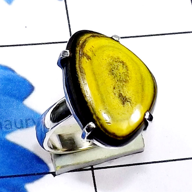 Eclipse E - SPR972-Fancy Shape Cab Gemstone 925 Sterling Silver Prong Settin