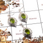 Peridot Cut D - SCS986-Exclusive Cut Gemstone 925 Silver Pendant Earrings Set Handmade Design