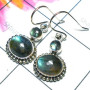 Labradorite D - SDE941-Fabulous Oxidized Earring with Natural Gemstone